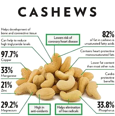 info about cashew