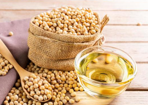 soya5